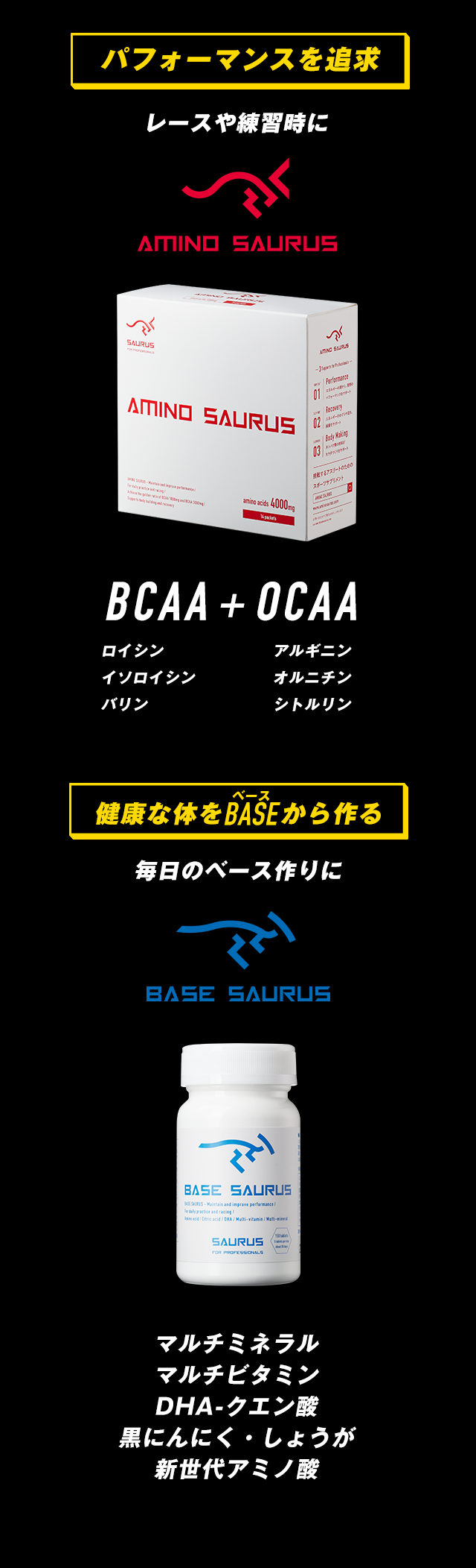 アミノサウルス 公式ユニフォーム （AMINO SAURUS通信 (アミノ