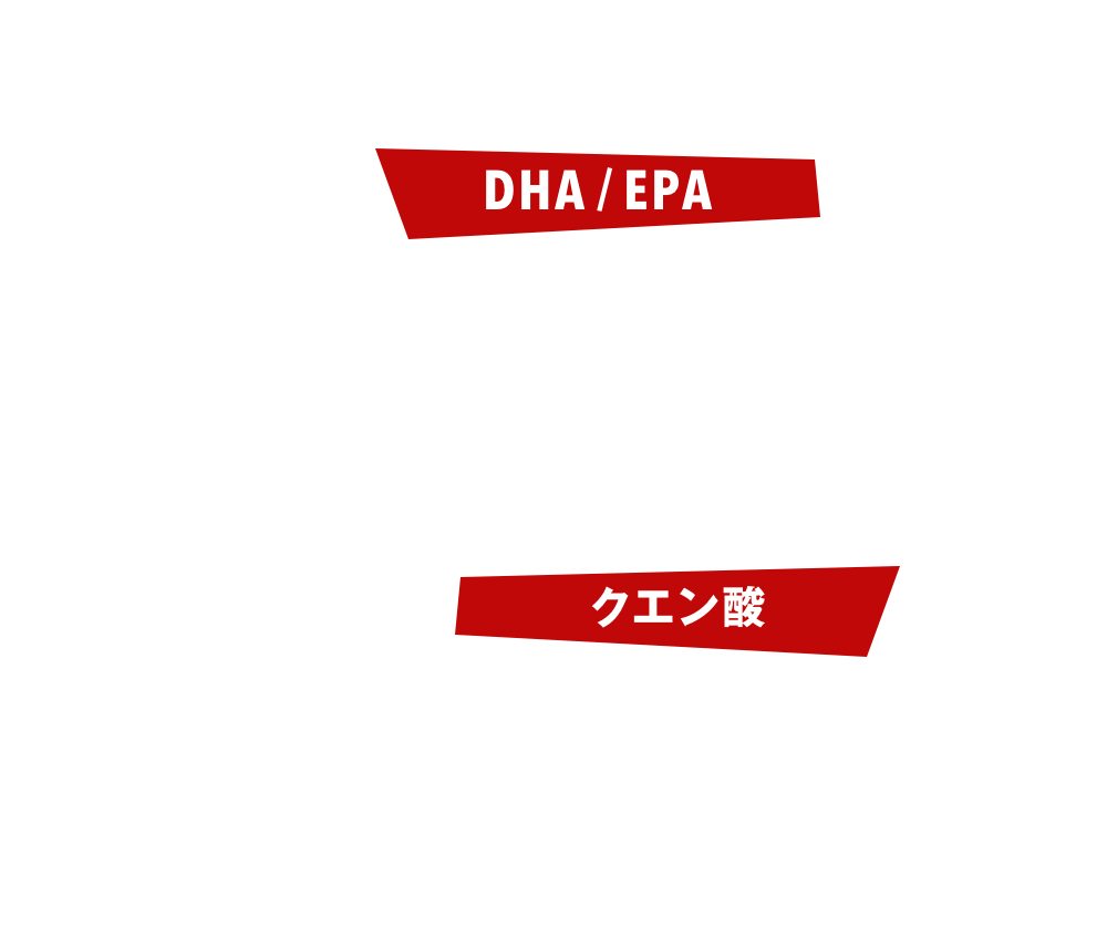 【DHA / EPA】 健康維持に欠かせないオメガ3脂肪酸です。体全体に酸素を運ぶ血液はランナーにとって重要です。WHOも摂取を推奨する注目の青魚のサラサラ成分です。【クエン酸】クエン酸は、梅干し、レモン、黒酢などに多く含まれる成分です。クエン酸サイクルとも言われ摂取した食べ物からエネルギーを生み出しサポートする役割があります。