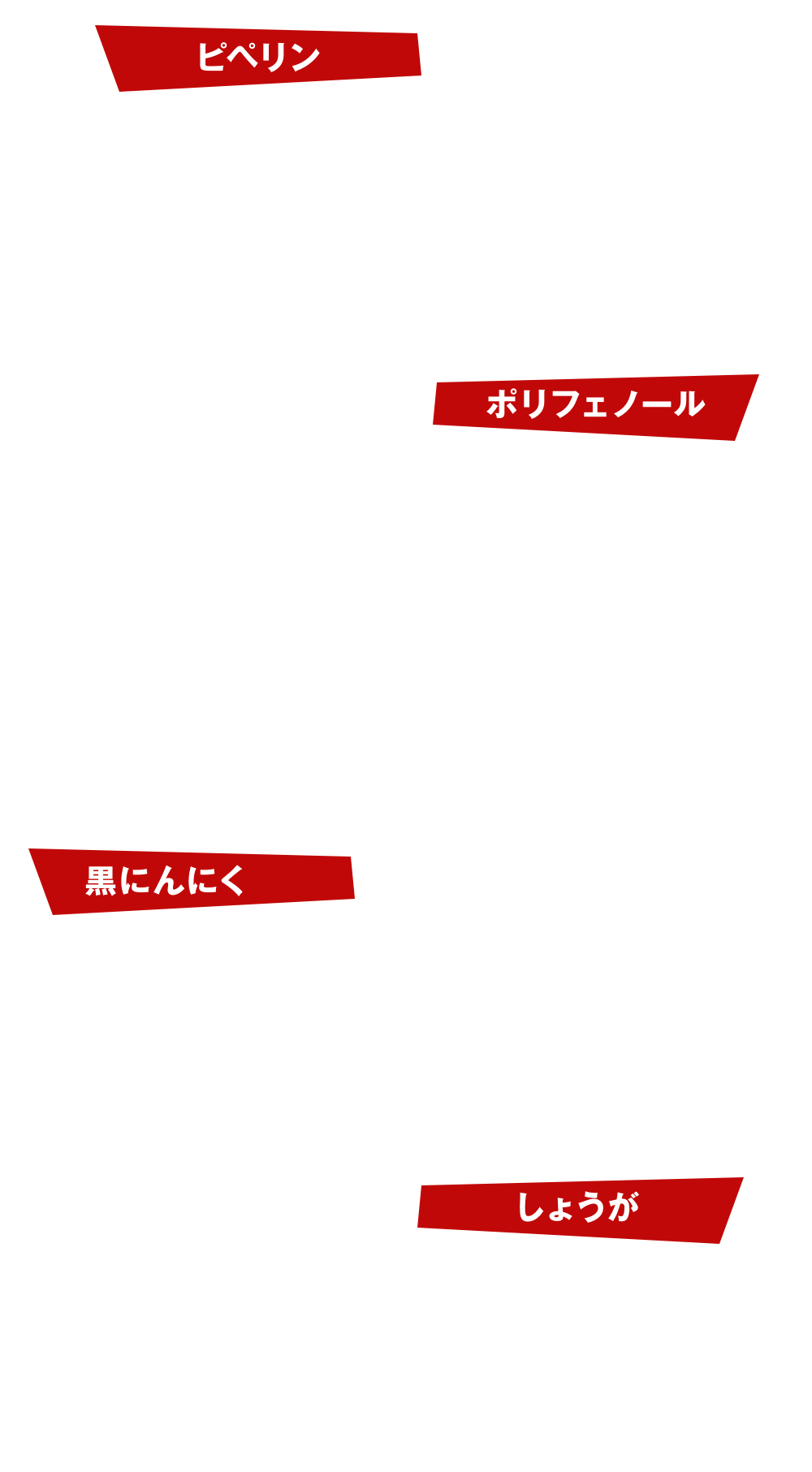 【ピペリン】黒胡椒などに含まれる成分です。栄養吸収をサポートする上で他の栄養成分との相性が良いと言われています。【ポリフェノール】ほとんどの植物に存在する苦味や色素の成分で、自然界に5,000種類以上あると言われています。ポリフェノールは植物が過酷な自然を生き抜くために果実や果皮に蓄える成分のことです。【黒にんにく】元気のみなもとである国産ニンニクにこだわり配合しました。ランナーの毎日のコンディショニングを整える上で欠かせないものです。【しょうが】ショウガはショウガ科の多年生草本で、ジンゲロールやショウガオールなどを含んでいます。ランナーのメンテナンスに欠かせない成分の一つです。