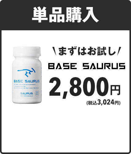 単品購入 まずはお試し！2,800円(税抜)送料無料・クレジット手数料無料